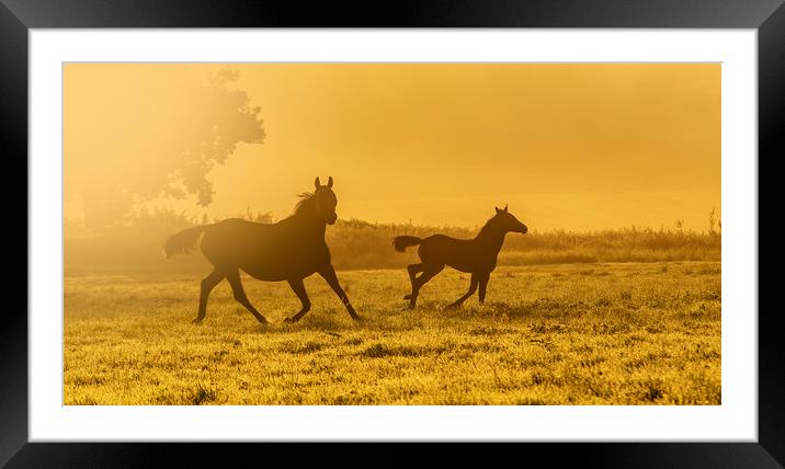 Morning run Framed Mounted Print by Gary Schulze