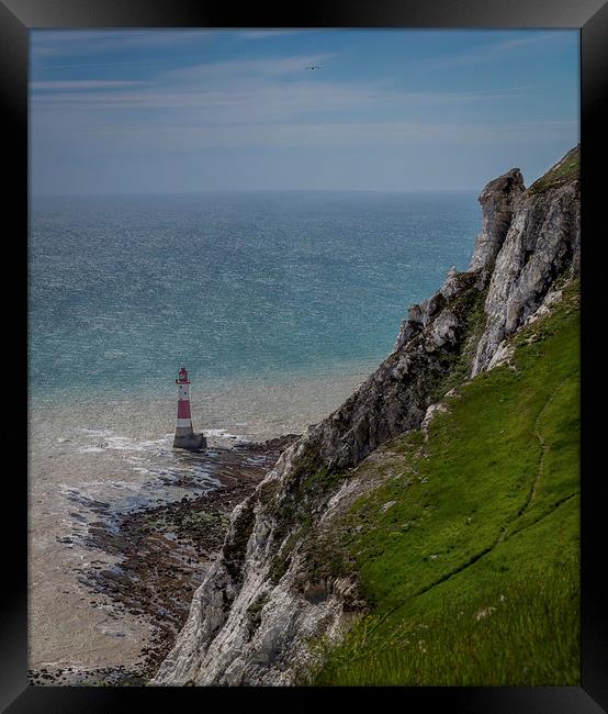 Beachyhead lighthouse Framed Print by Gary Schulze