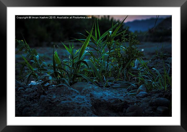  Sunrise from a bug's eye. Bhimber, Kashmir Framed Mounted Print by Imran Hashmi