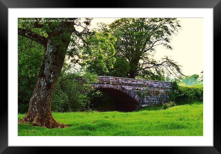  Gowkhall bridge Framed Mounted Print by Tanya Lowery