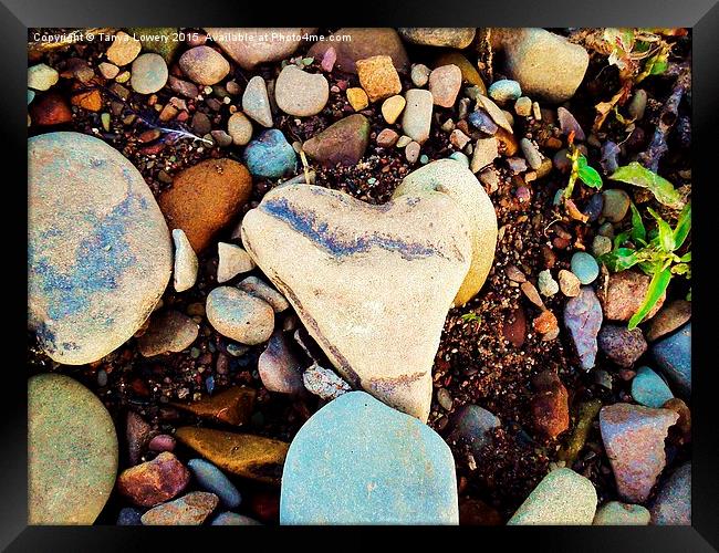 heart of stone Framed Print by Tanya Lowery