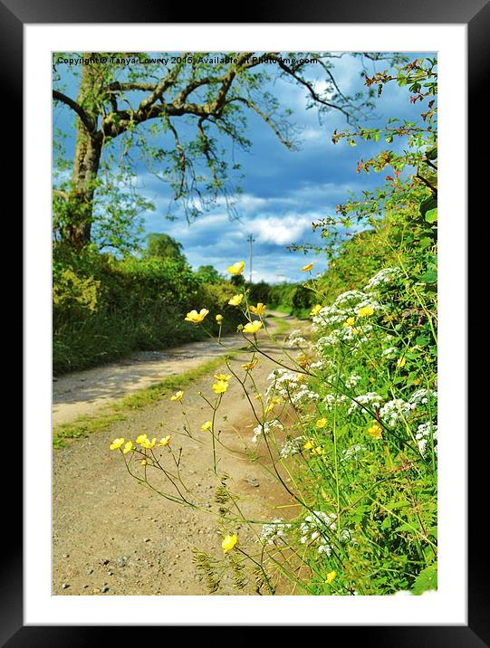  Buttercup lane Framed Mounted Print by Tanya Lowery