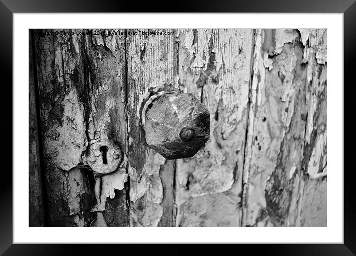  old door Framed Mounted Print by Tanya Lowery