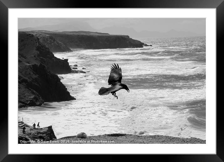 Crow by the Sea Framed Mounted Print by Dave Eyres