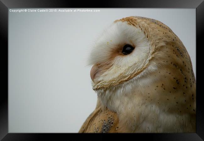 Barn Owl Framed Print by Claire Castelli