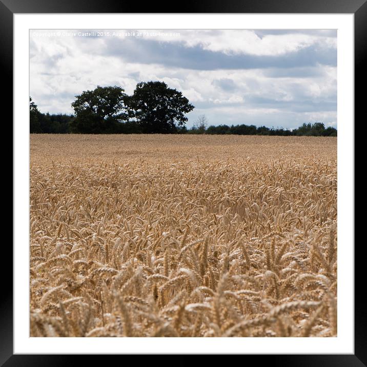  Wheat fields Framed Mounted Print by Claire Castelli