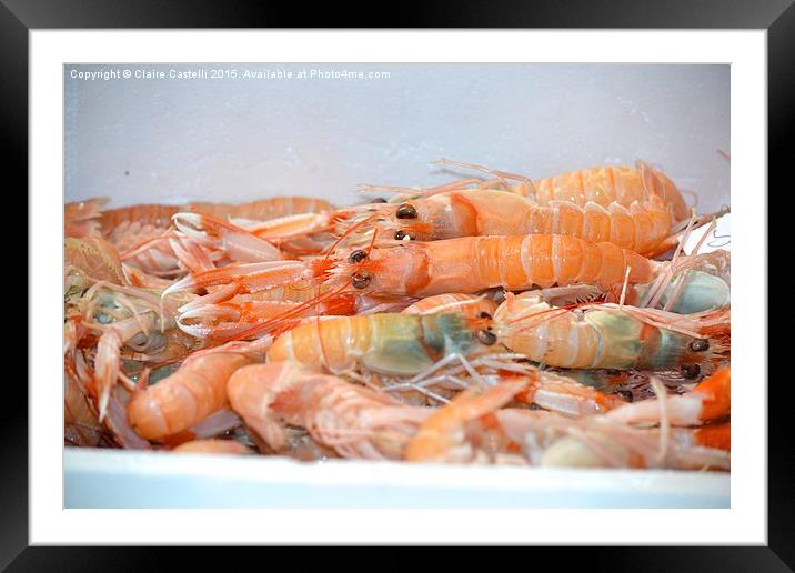 Fresh prawns Framed Mounted Print by Claire Castelli