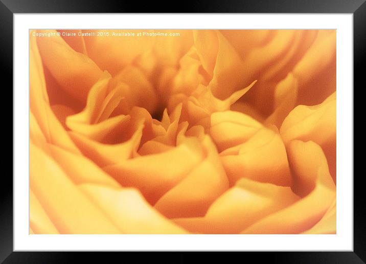  A sea of petals Framed Mounted Print by Claire Castelli