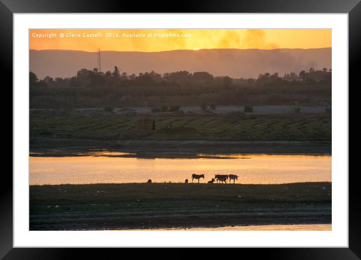 Sunset in Egypt Framed Mounted Print by Claire Castelli