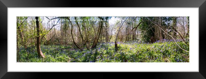 If you go down to the woods today.... Framed Mounted Print by Claire Castelli