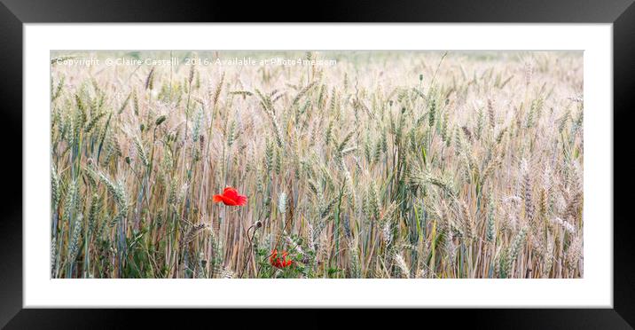 Poppy and Wheat Framed Mounted Print by Claire Castelli