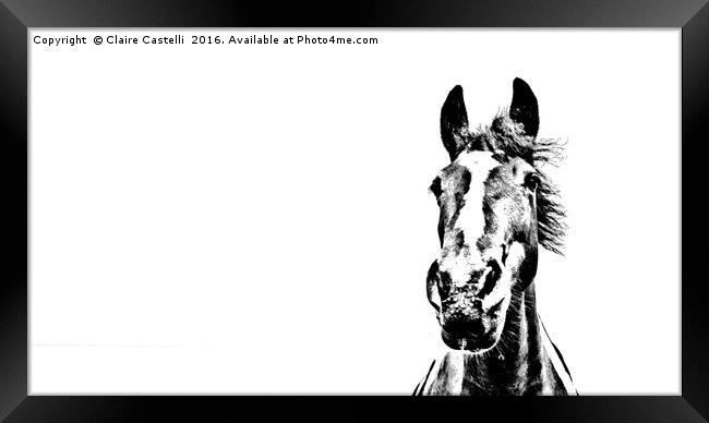 Freedom Framed Print by Claire Castelli