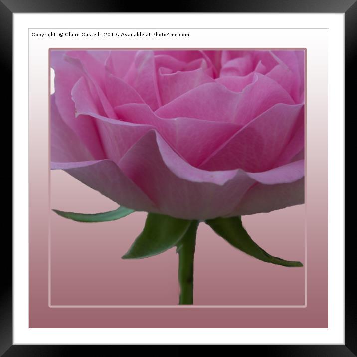 In the pink Framed Mounted Print by Claire Castelli