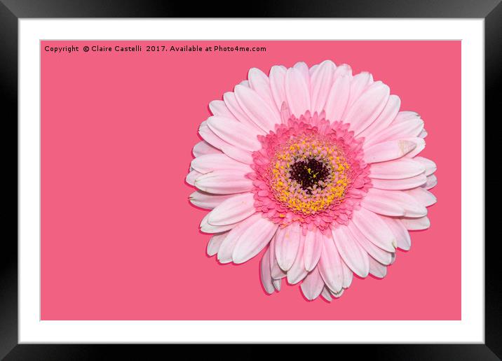 Pretty in pink Framed Mounted Print by Claire Castelli