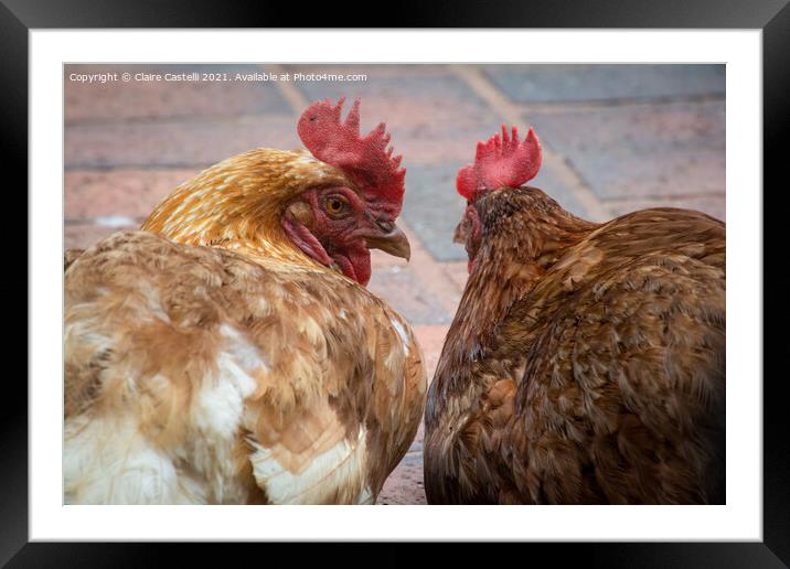 Chicken Chatter Framed Mounted Print by Claire Castelli