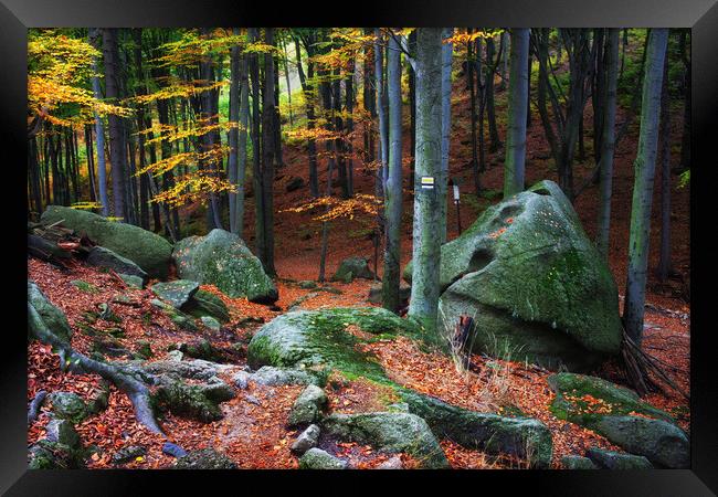 Mountain Forest Autumn Scenery Framed Print by Artur Bogacki