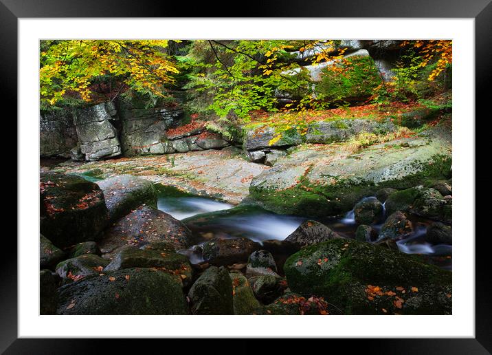 Creek in Autumn Mountain Forest Framed Mounted Print by Artur Bogacki