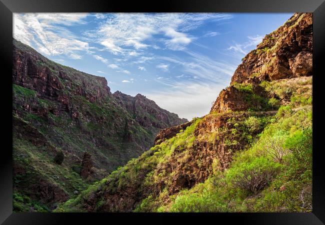 Hell Gorge Barranco del Infierno in Tenerife Framed Print by Artur Bogacki