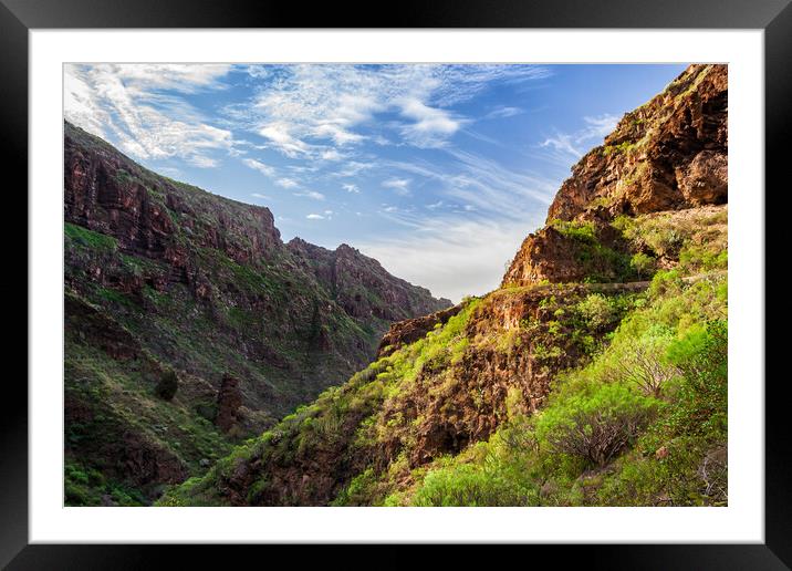 Hell Gorge Barranco del Infierno in Tenerife Framed Mounted Print by Artur Bogacki