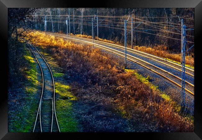 Railway Tracks in the Forest at Sunset Framed Print by Artur Bogacki