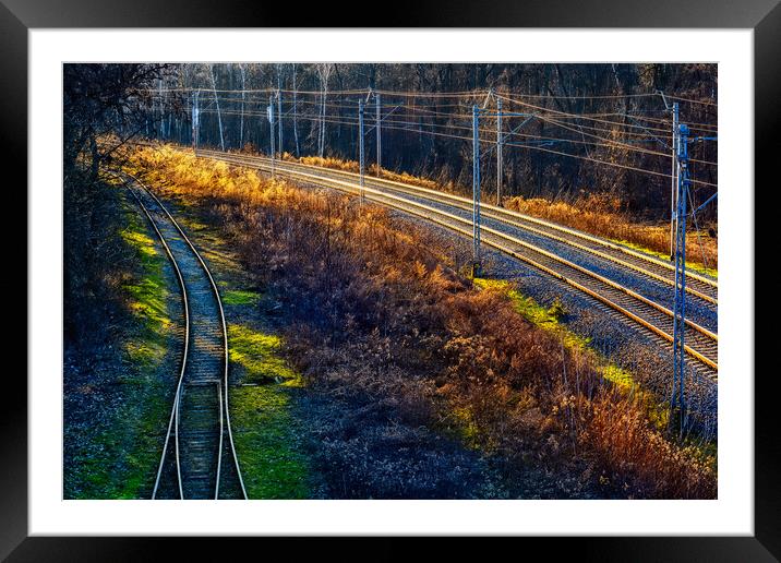 Railway Tracks in the Forest at Sunset Framed Mounted Print by Artur Bogacki