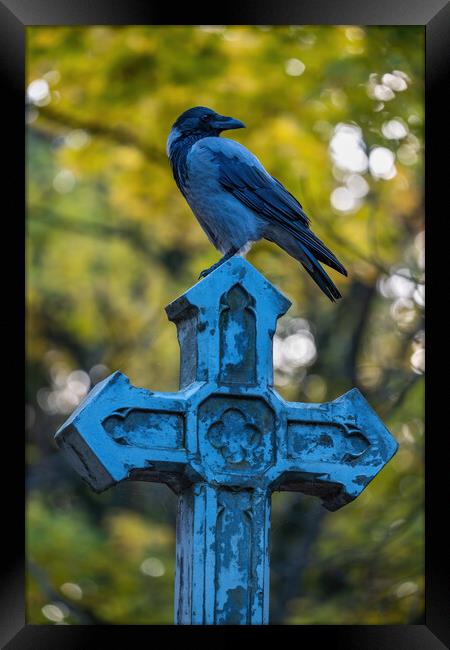 Hooden Crow On Cross Framed Print by Artur Bogacki