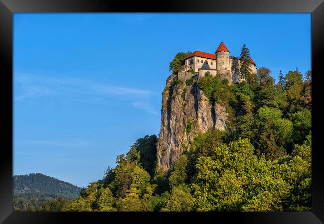 Medieval Bled Castle On Rock Framed Print by Artur Bogacki