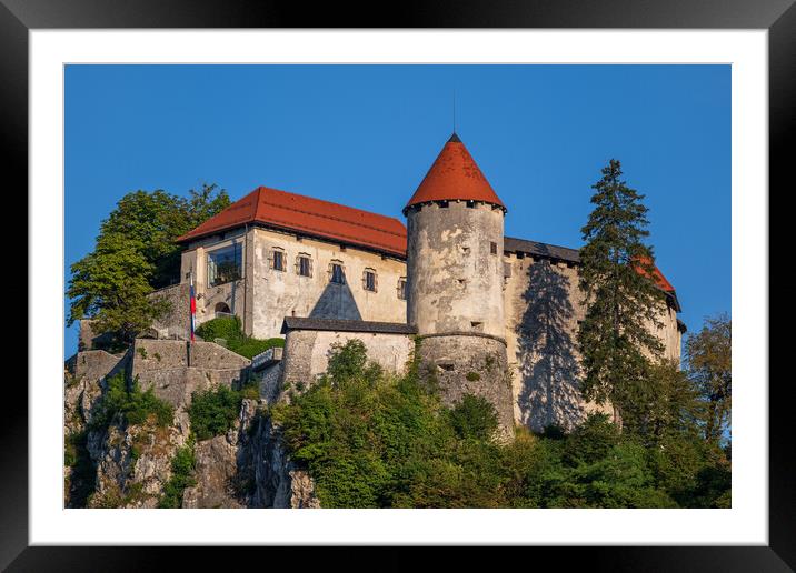 The Bled Castle In Slovenia Framed Mounted Print by Artur Bogacki