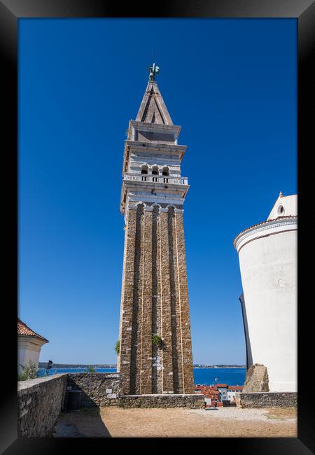 Bell Tower Of St George Church In Piran Framed Print by Artur Bogacki