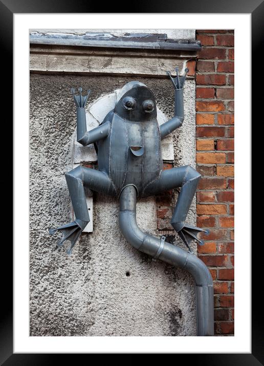 Frog Rain Gutter in Gdansk Framed Mounted Print by Artur Bogacki