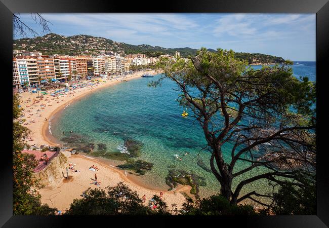 Sea Bay With Beach In Lloret de Mar Framed Print by Artur Bogacki