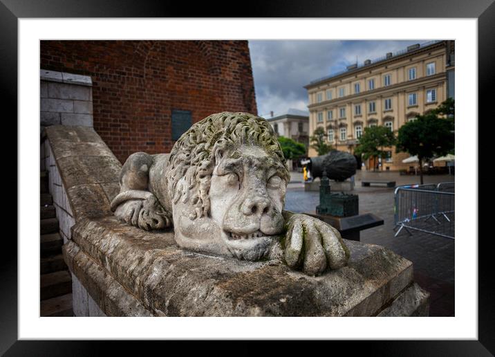 Guardian Lion Stone Sculpture in Krakow Framed Mounted Print by Artur Bogacki