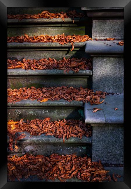 Vintage Stairs Covered With Fallen Autumn Leaves Framed Print by Artur Bogacki