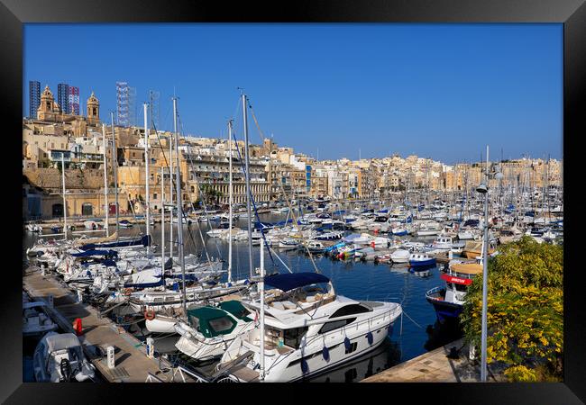 Senglea Skyline And Marina In Malta Framed Print by Artur Bogacki