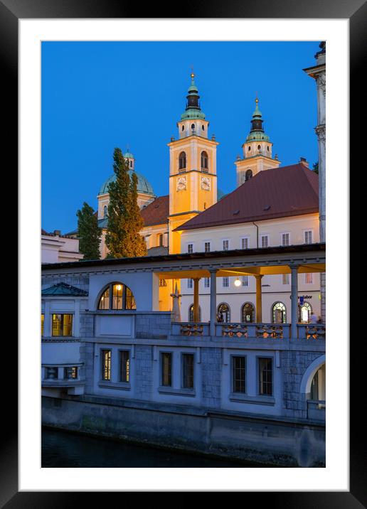 Ljubljana Cathedral and Plecnik Arcades at Dusk Framed Mounted Print by Artur Bogacki
