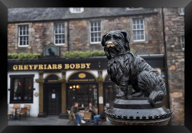Greyfriars Bobby Statue In Edinburgh Framed Print by Artur Bogacki
