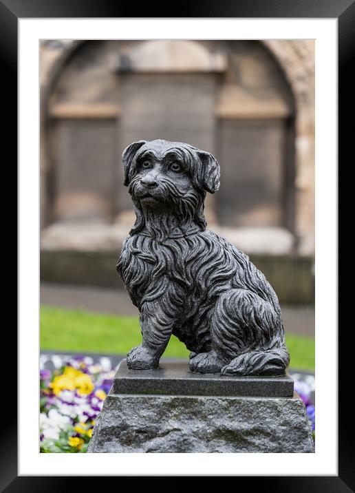 Greyfriars Bobby Statue In Edinburgh Framed Mounted Print by Artur Bogacki