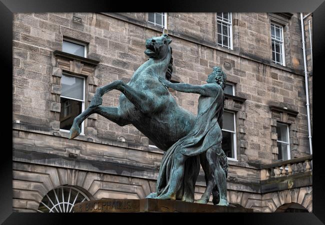 Alexander and Bucephalus Statue in Edinburgh Framed Print by Artur Bogacki