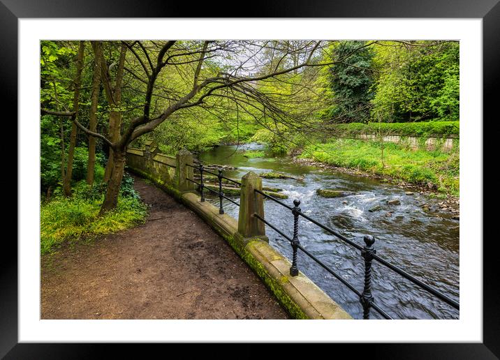 Water of Leith River in Edinburgh Framed Mounted Print by Artur Bogacki