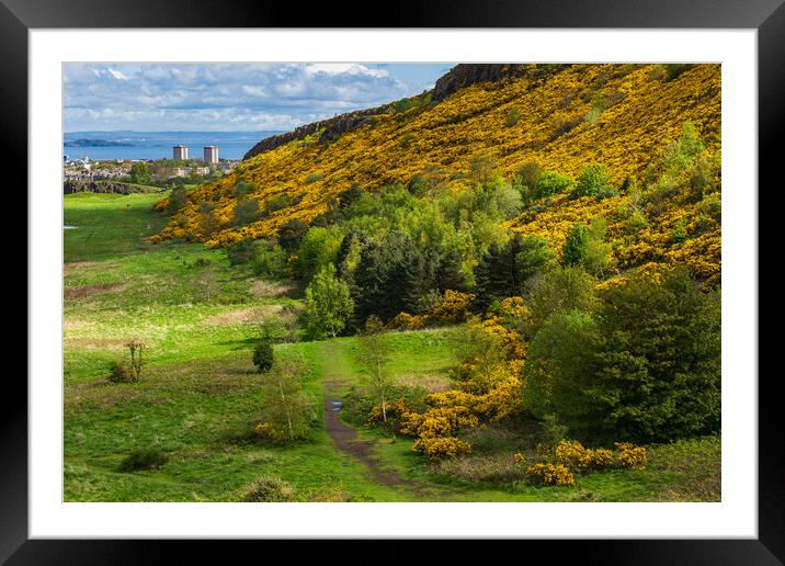 Scottish Lowlands Landscape In Spring Framed Mounted Print by Artur Bogacki
