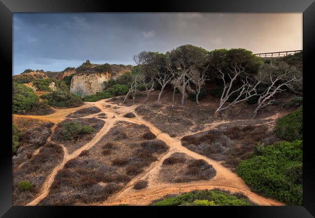 Hillside Coastal Paths In Algarve Framed Print by Artur Bogacki