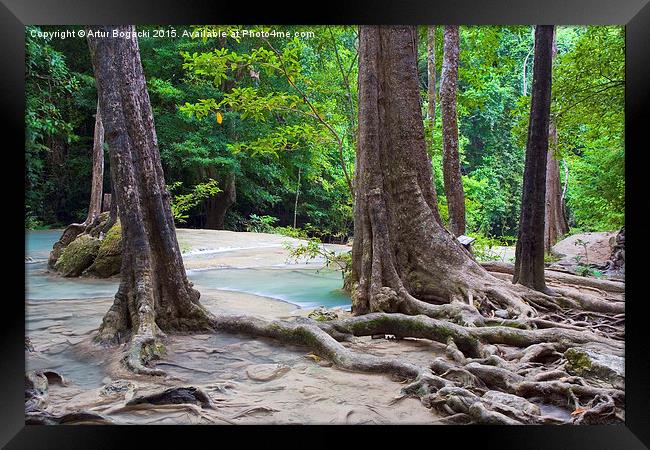 Stream in the Forest Framed Print by Artur Bogacki