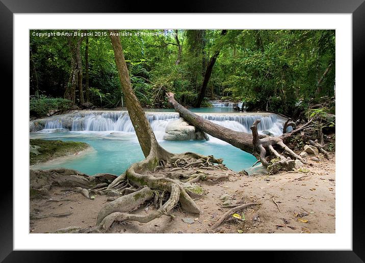 Jungle Scenery by the Waterfall Framed Mounted Print by Artur Bogacki