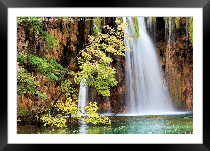 Autumn Tree by the Waterfall Framed Mounted Print by Artur Bogacki