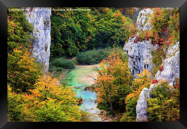Stream in Autumn Mountain Forest Framed Print by Artur Bogacki