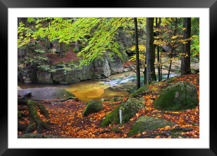 Stream in Autumn Forest Framed Mounted Print by Artur Bogacki