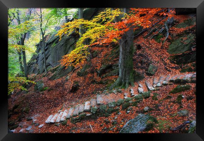 Old Stone Stairs In Autumn Mountains Framed Print by Artur Bogacki