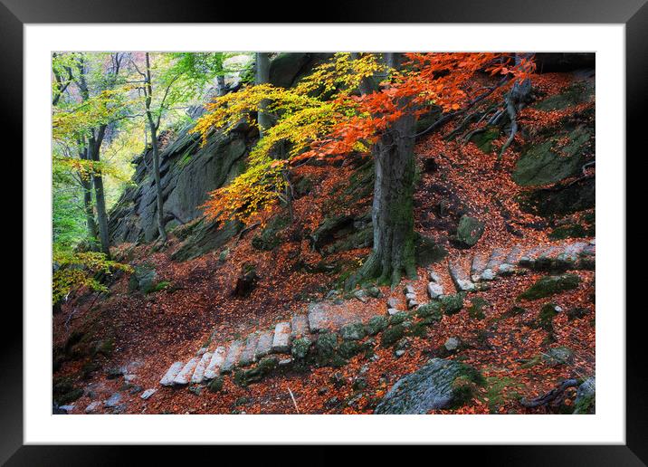 Old Stone Stairs In Autumn Mountains Framed Mounted Print by Artur Bogacki