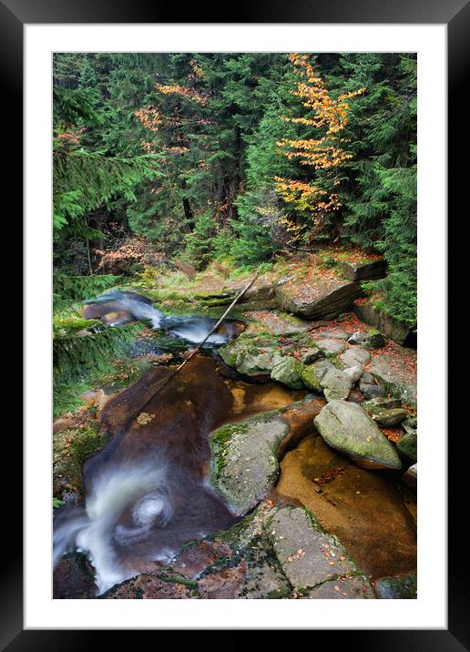 Stream in Mountain Forest Framed Mounted Print by Artur Bogacki
