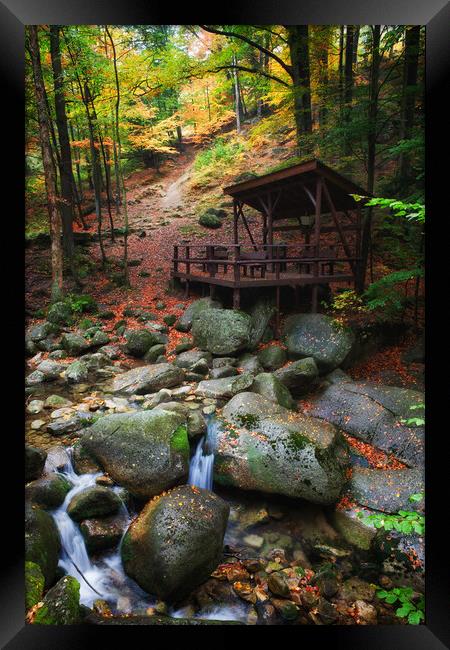 Creek In Autumn Mountain Forest Framed Print by Artur Bogacki